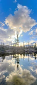 Nature cloud