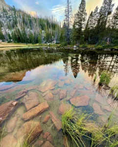 Nature water